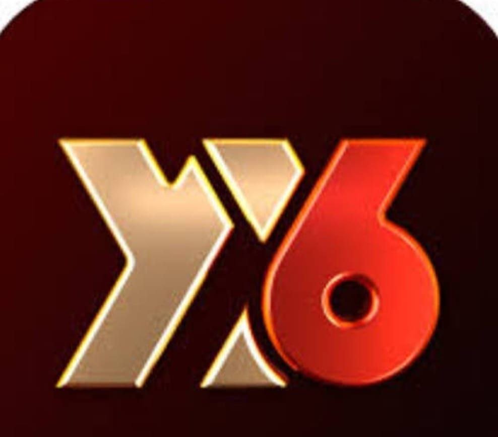 YY6